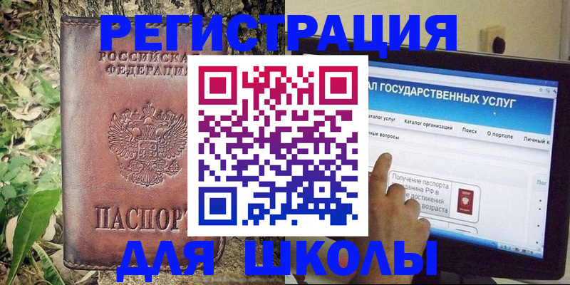 прописка для школы в Светогорске